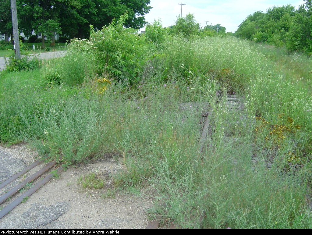 Looking north from Holt Road