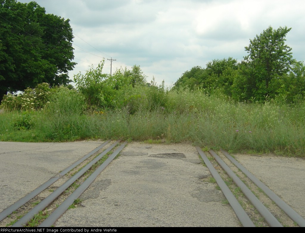 Low angle looking north through the Holt Rd. crossing