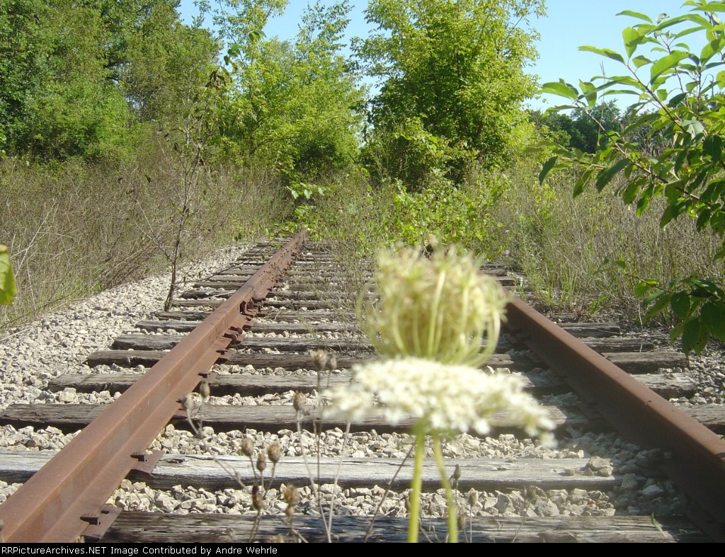 Low angle looking north along the rusty rails