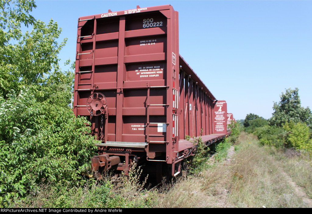Weeds and brush are encroaching on SOO 600222