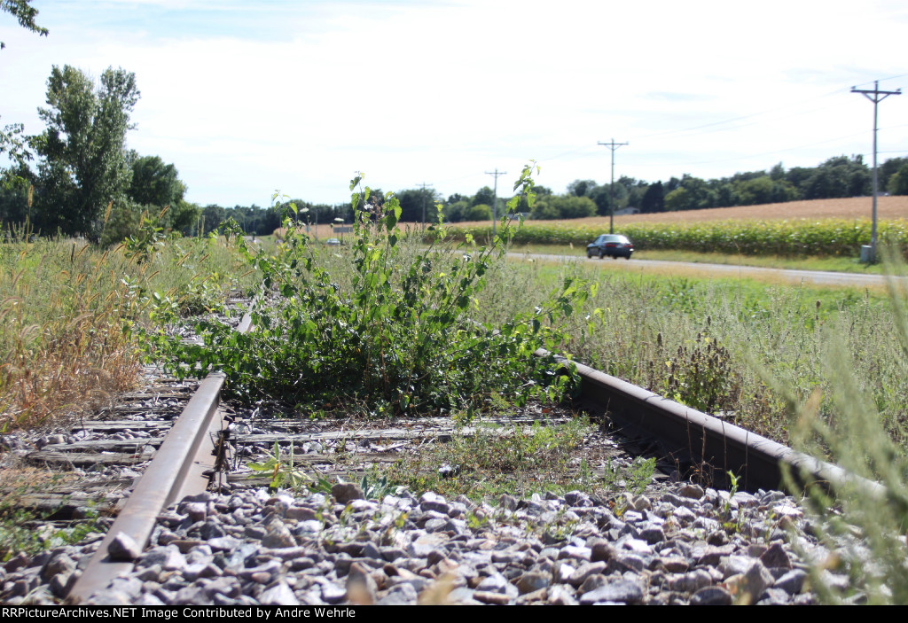 Low angle looking south from Lacy Road