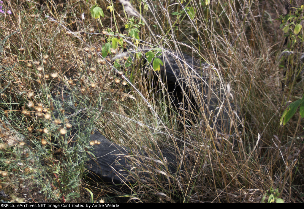 Junk tire between the rails where they end south of Cheryl Parkwgy