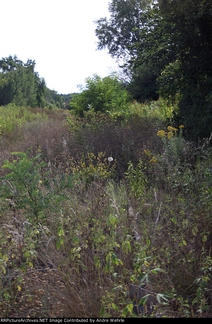Looking south from Cheryl Parkway again, one rail is barely visible