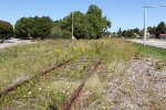 Abandoned ex-C&NW tracks north of Union Avenue