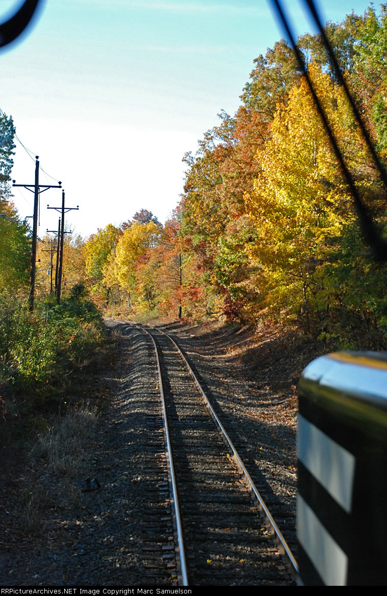 Fall Colors on the Secondary