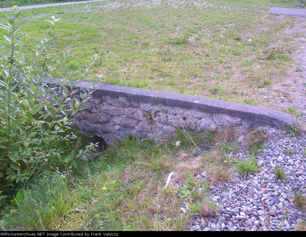 BCH/SRY Central Park Line in Central Park