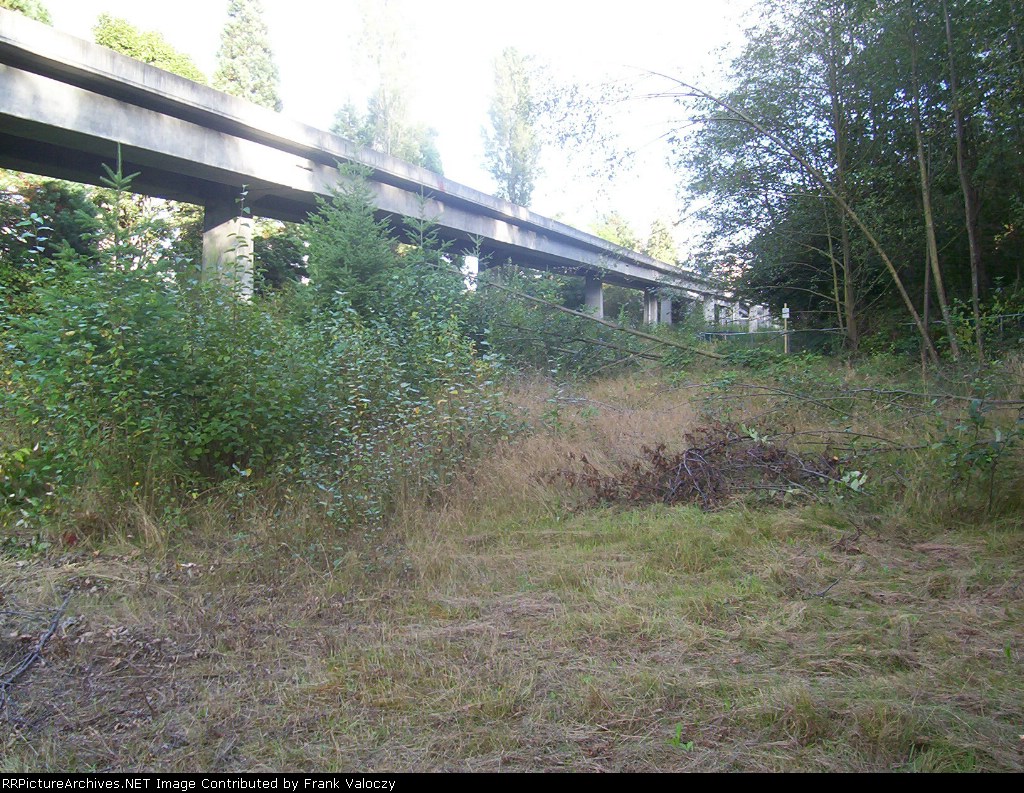 BCH/SRY Central Park Line in Central Park