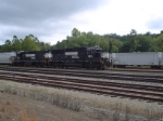 NS 4613