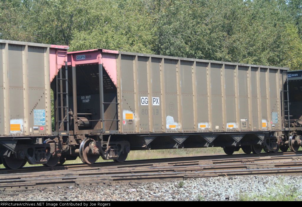 GGPX 8019