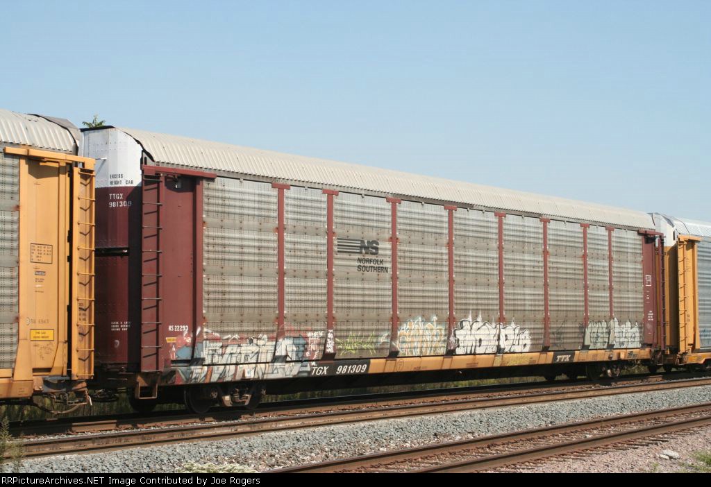TTGX 981309