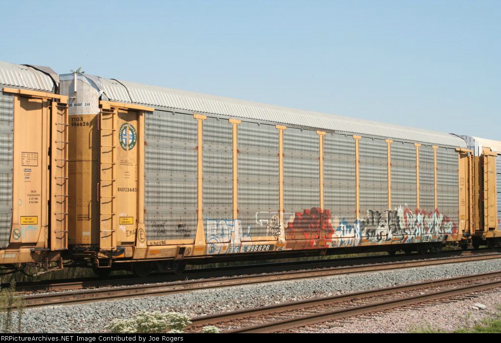 TTGX 986626