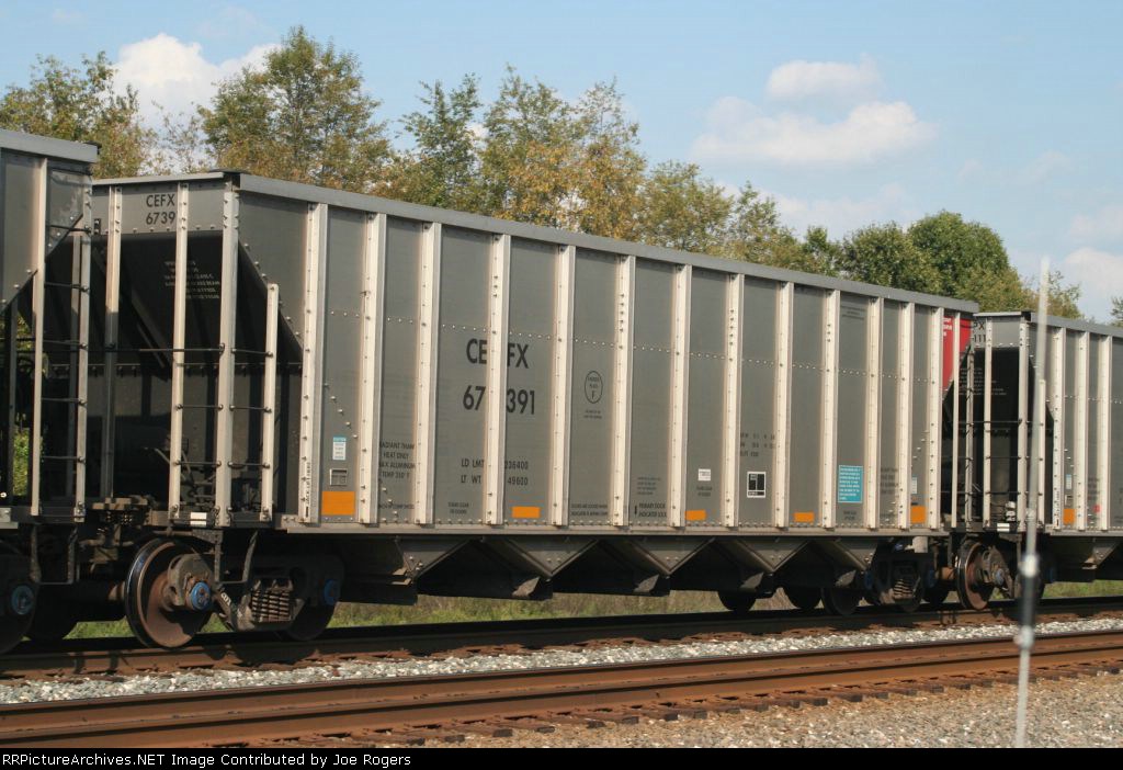 CEFX 67391