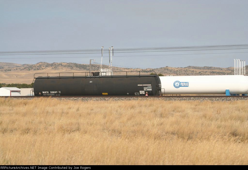 NATX 33637