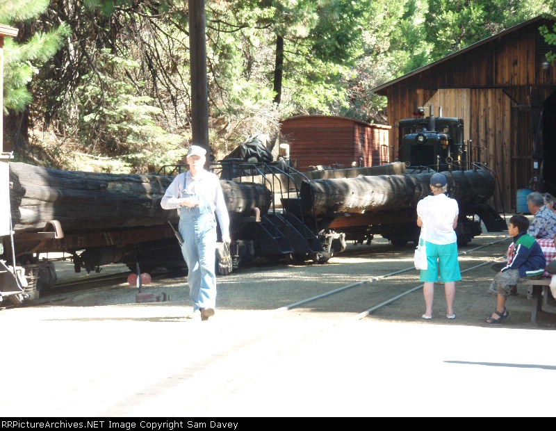 Log benches on flat cars