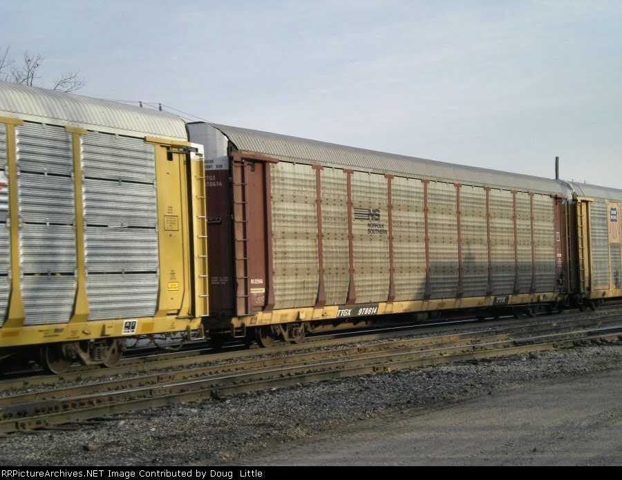 TTGX 978614