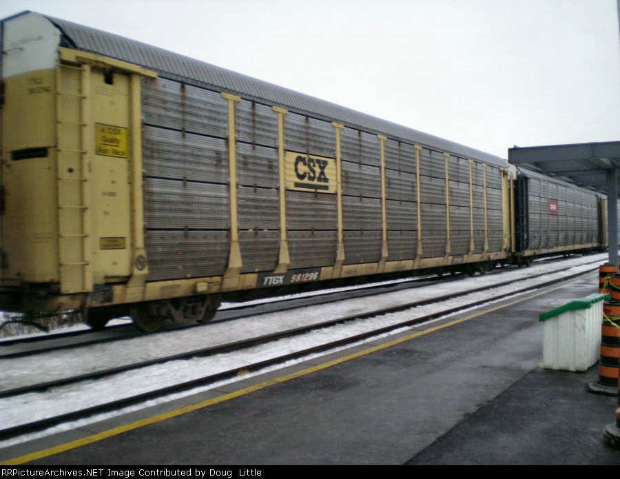 TTGX 981296