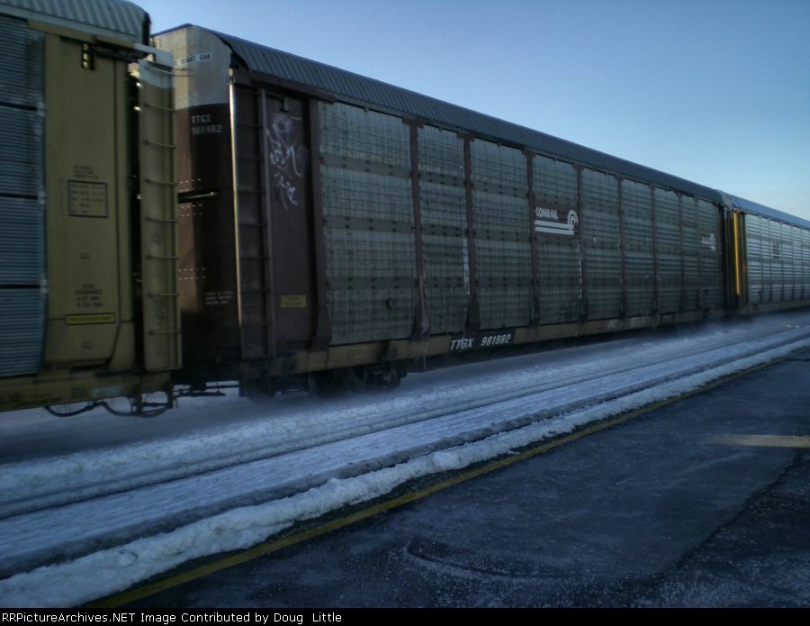 TTGX 981982
