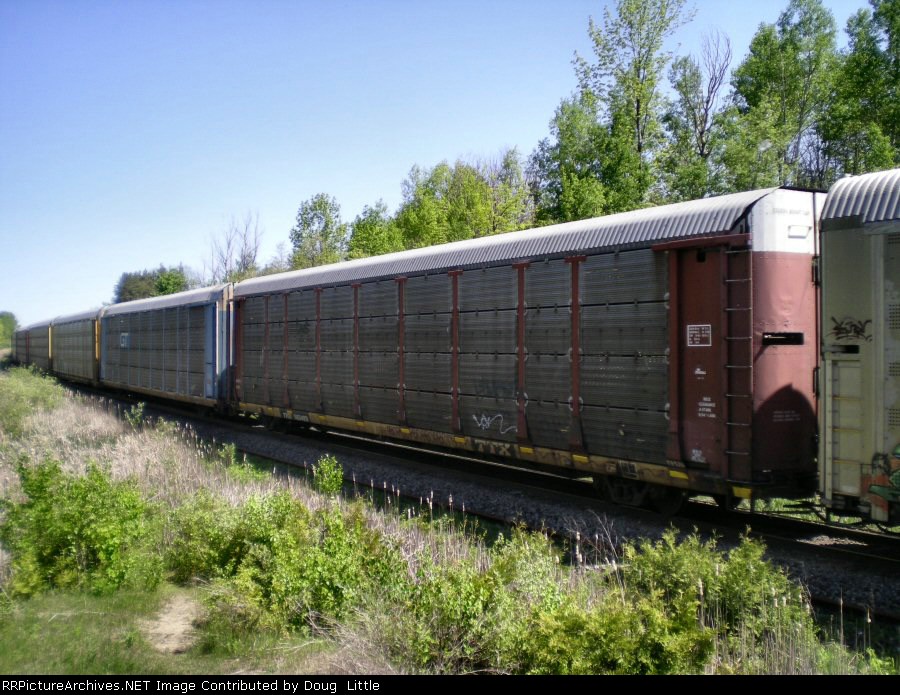 TTGX 983493