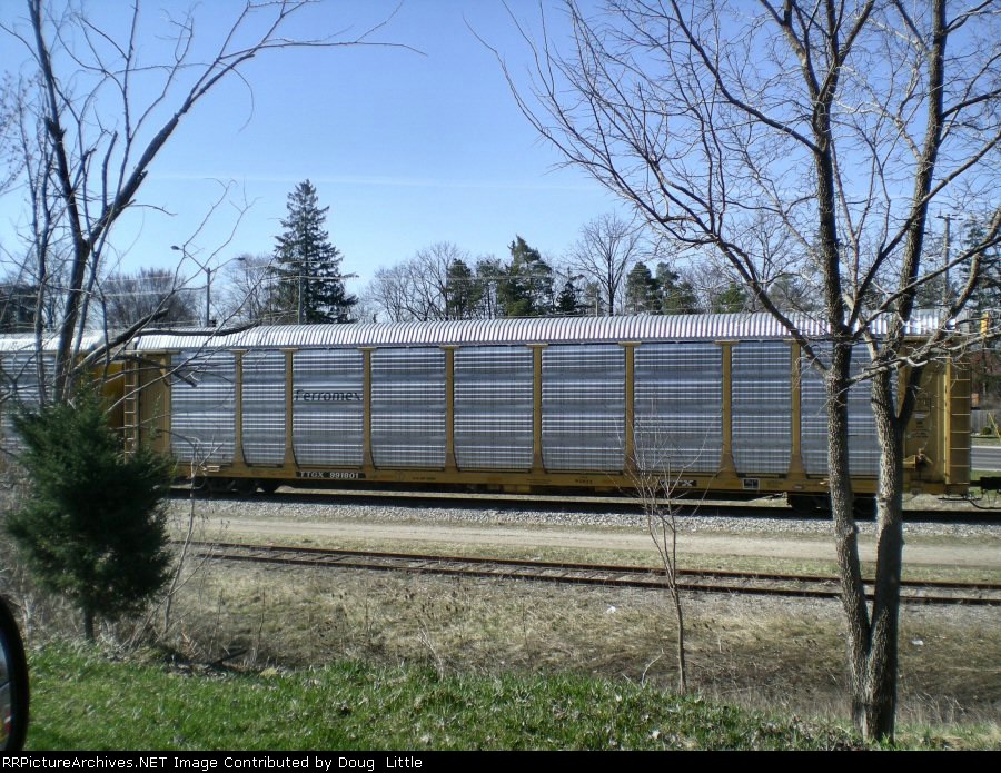 TTGX 991801