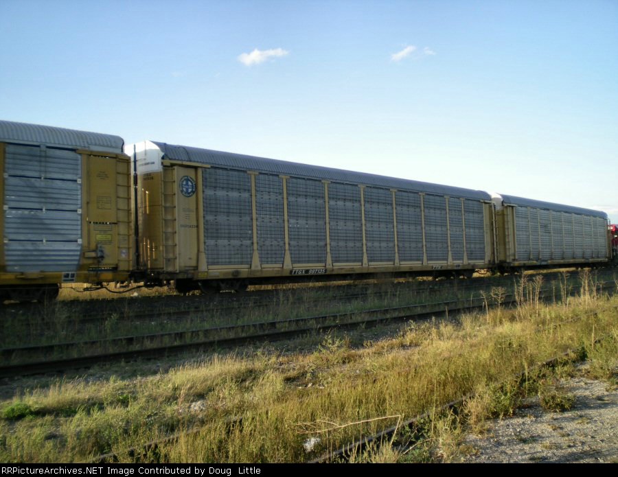 TTGX 997135