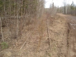 Old Abandoned LS&I Tracks