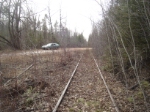 Old Abandoned LS&I Tracks