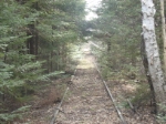 Old Abandoned LS&I Tracks
