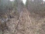 Old Abandoned LS&I Tracks