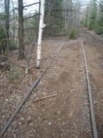 Old Abandoned LS&I Tracks