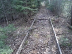 Old Abandoned LS&I Tracks