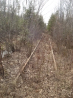 Old Abandoned LS&I Tracks