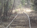 Old Abandoned LS&I Tracks