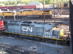 CN 5955