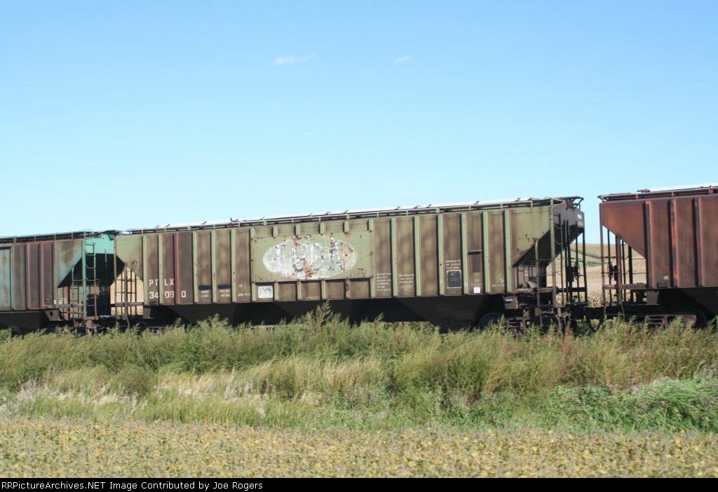 PTLX 34080