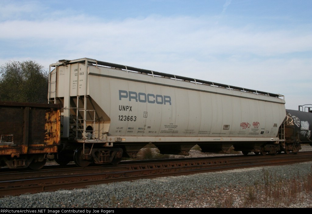 UNPX 123663