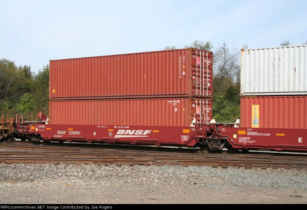 BNSF 239091