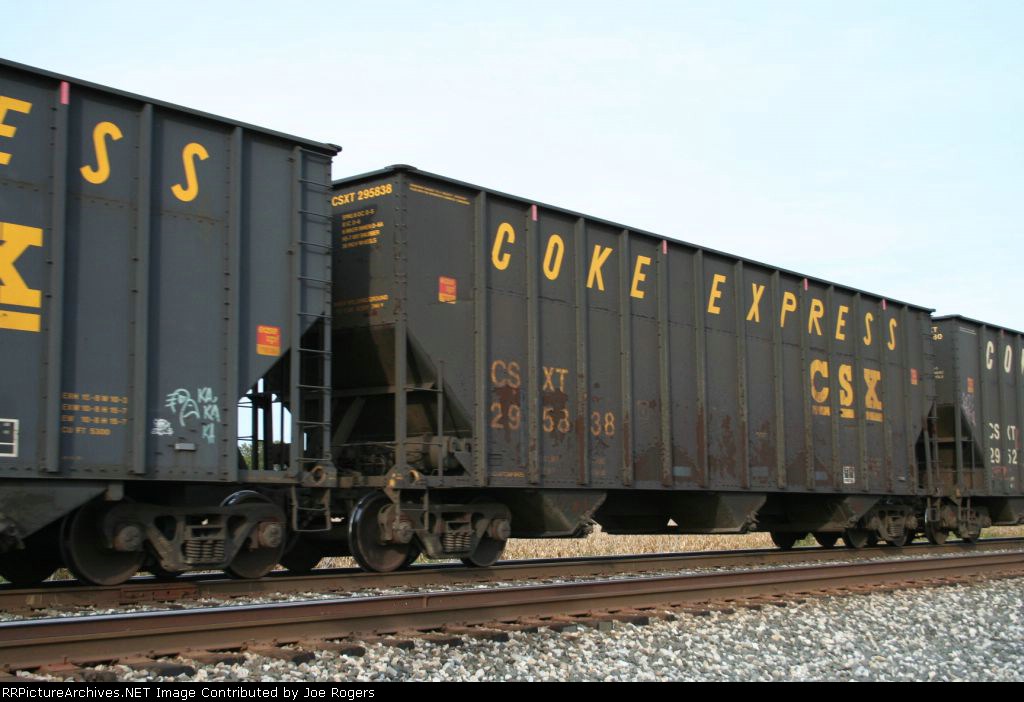 CSX 295838