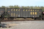 CSX 295917