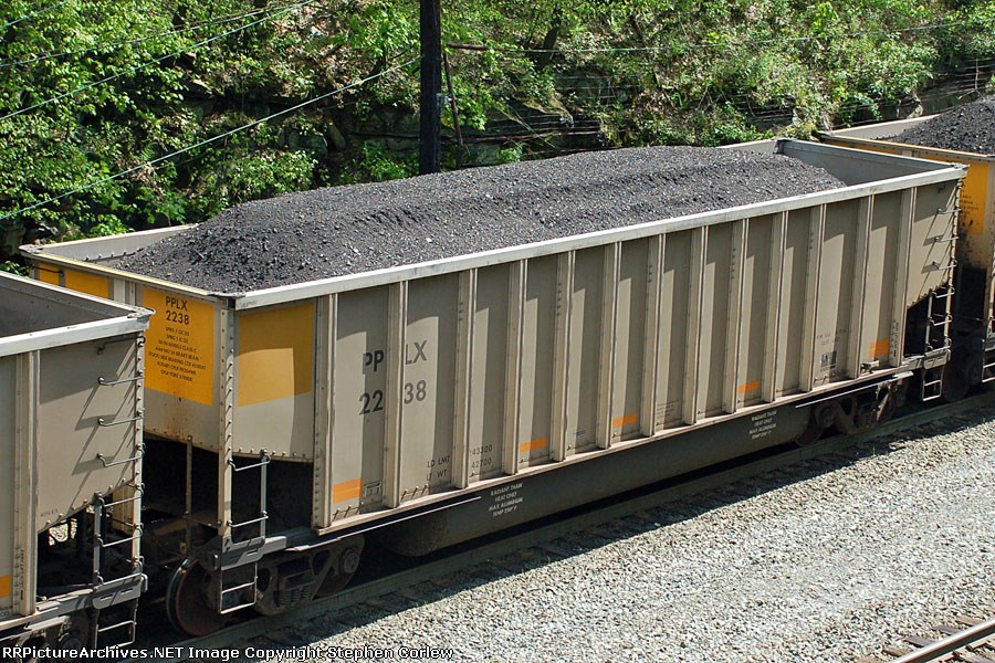 PPLX 2238