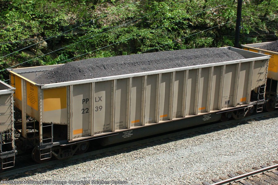PPLX 2239