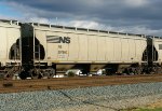 NS 297600