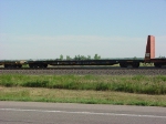 CP 315021