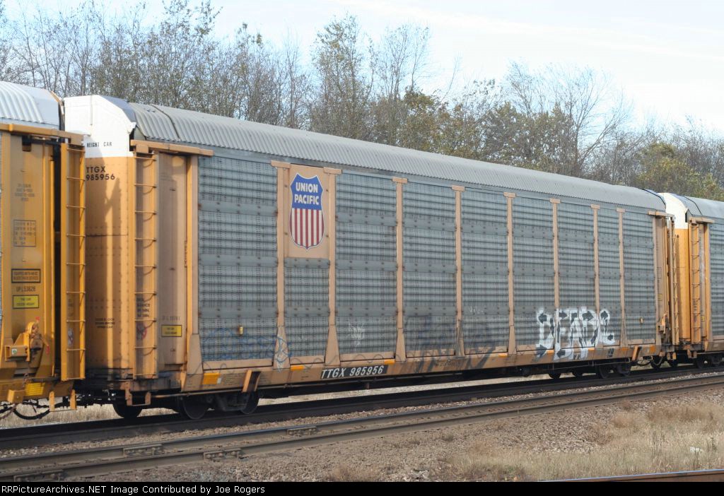 TTGX 985956