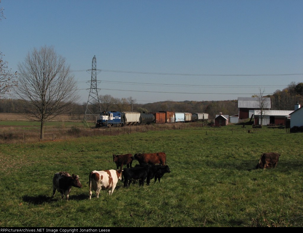 The cows are grazing as Mid Michigan 24 heads back to Grand Rapids
