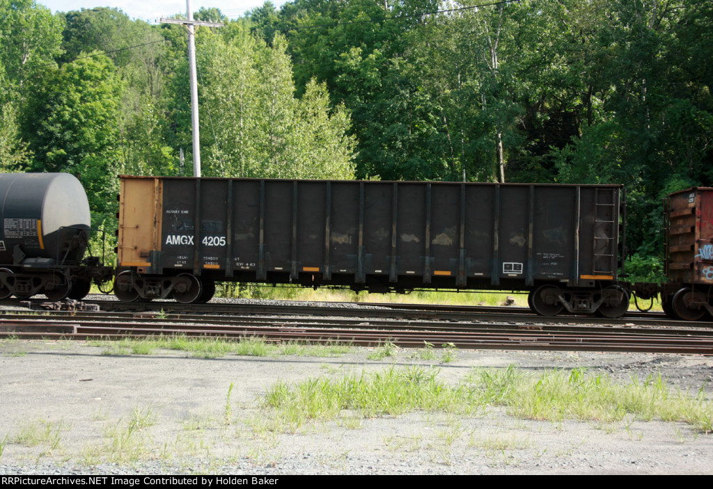 AMGX 4205