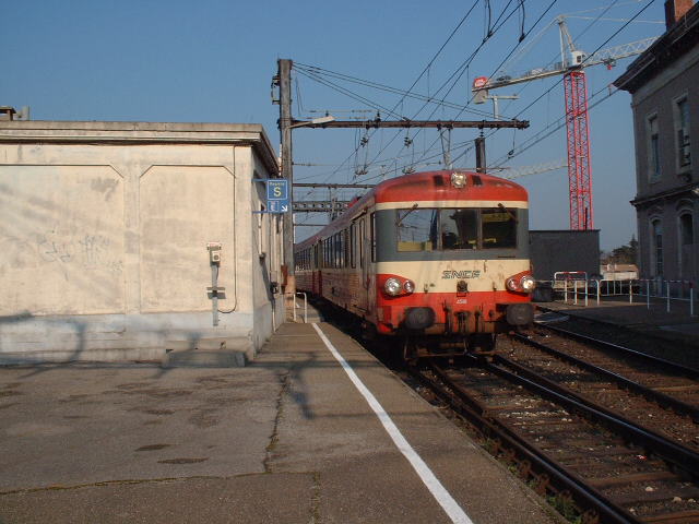 Doodlebug looking thing