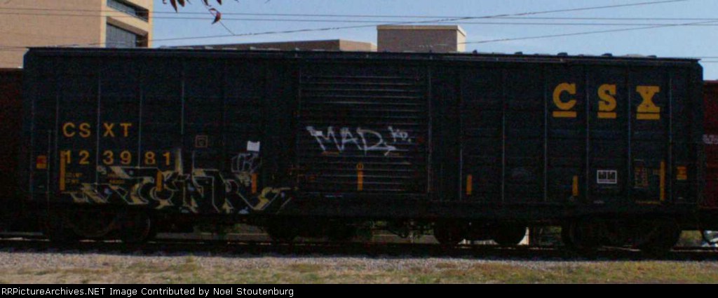 CSXT 123981