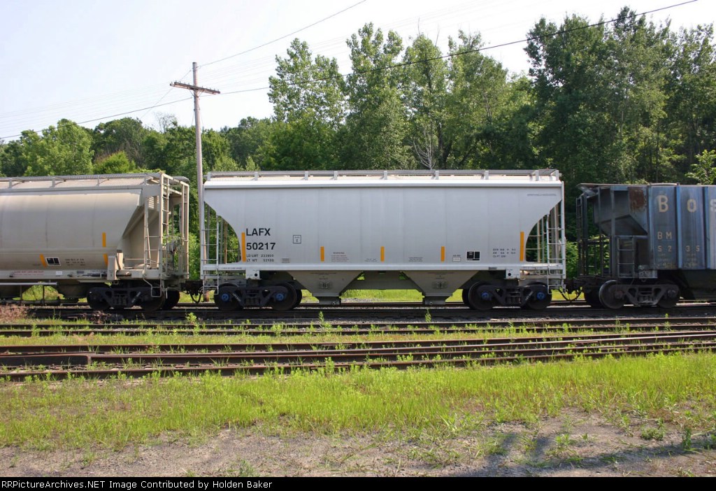 LAFX 50217