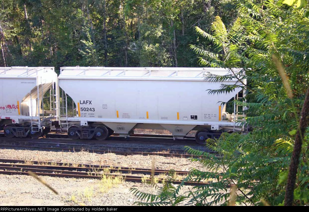 LAFX 50243