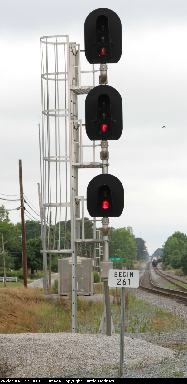 Signals at Pine Level
